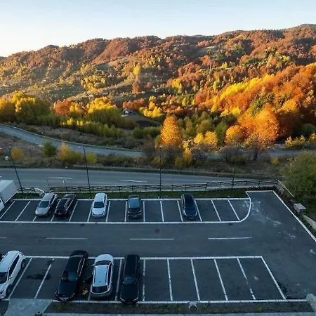 Vidik Dream * קופאוניק